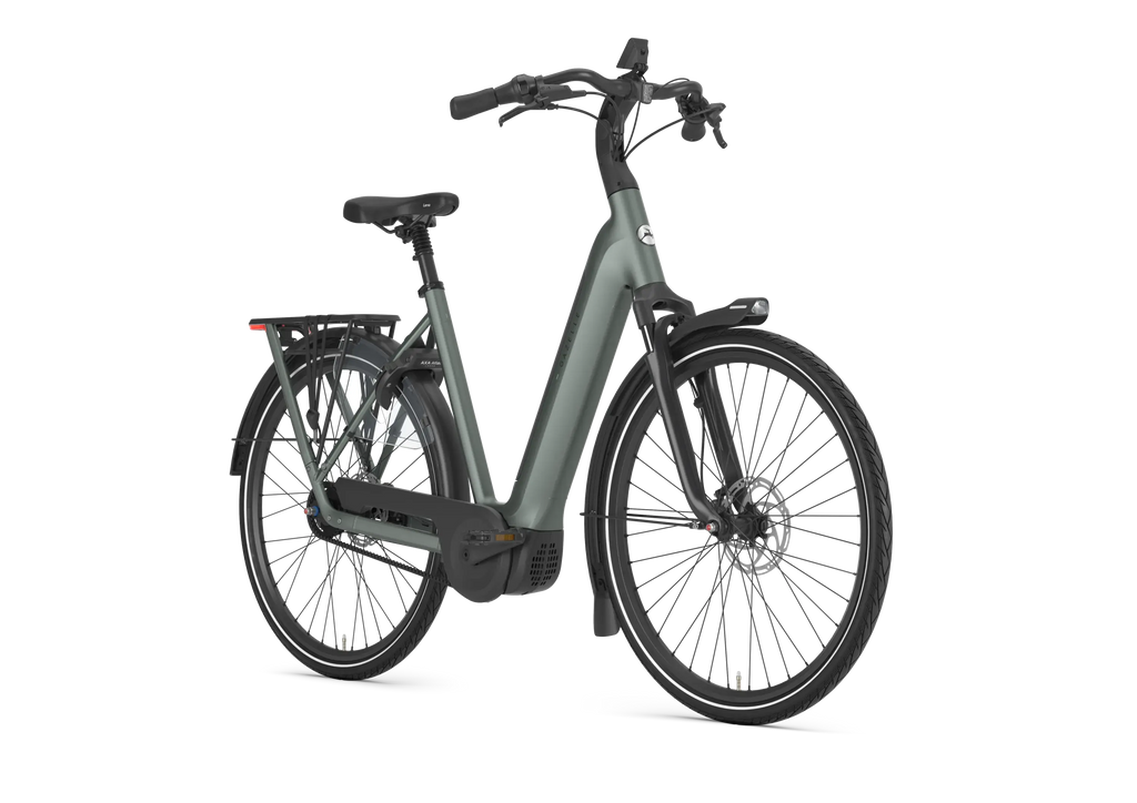 GAZELLE GRENOBLE C5+ First Edition