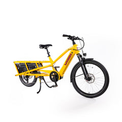 SPICY CURRY (V4) FAMILY EDITION