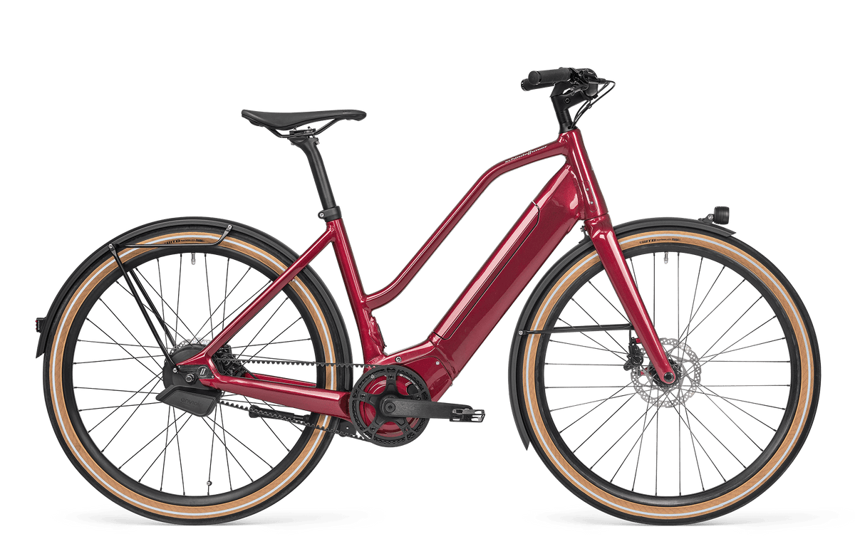 Schindelhauer Hannah Enviolo 1.0 - vélo chez Vélo & Co Paris